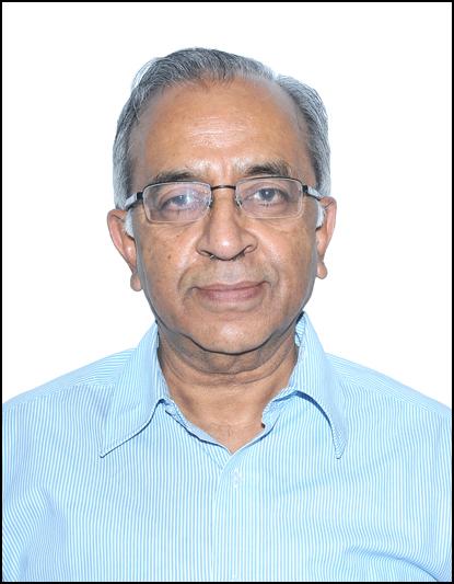 Prof. C.E. Veni Madhavan photo